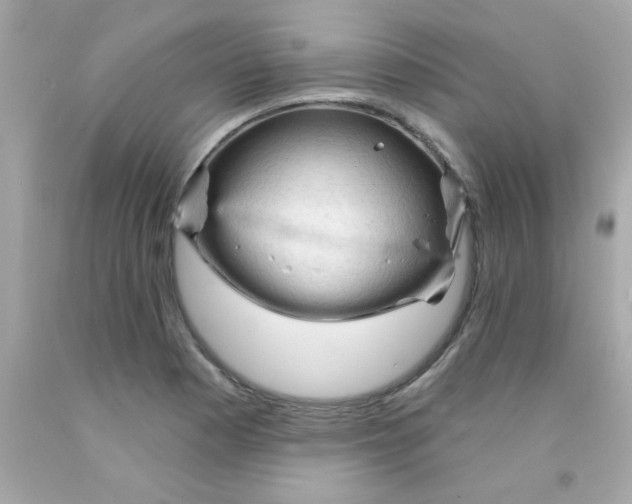 X0000093111177200710241236