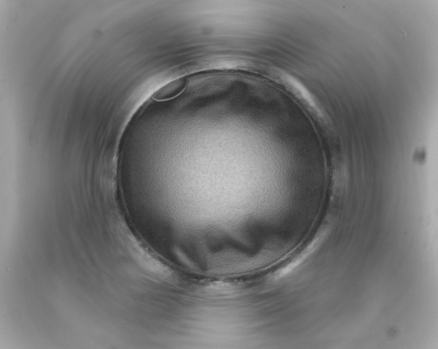 X0000093111178200710241236