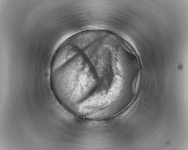 X0000093111179200710241236