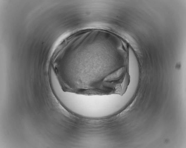 X0000093111180200710241235