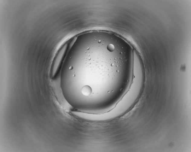 X0000093111181200710241235