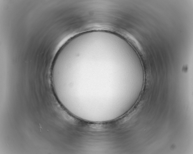 X0000093111182200710241235