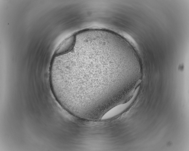 X0000093111183200710241235