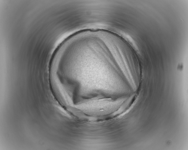 X0000093111184200710241235