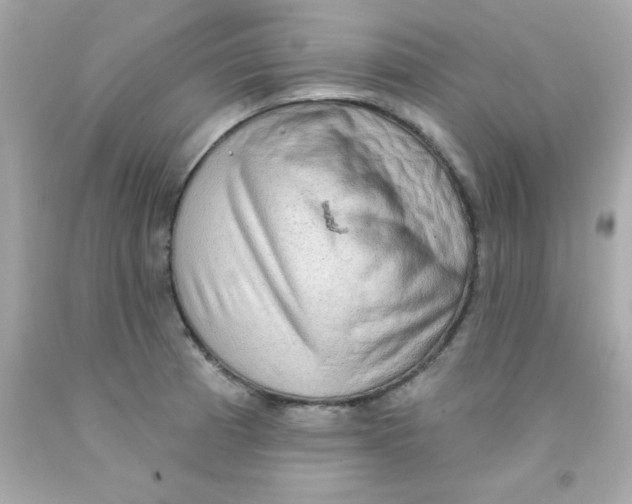 X0000093111185200710241235