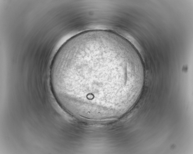 X0000093111187200710241235