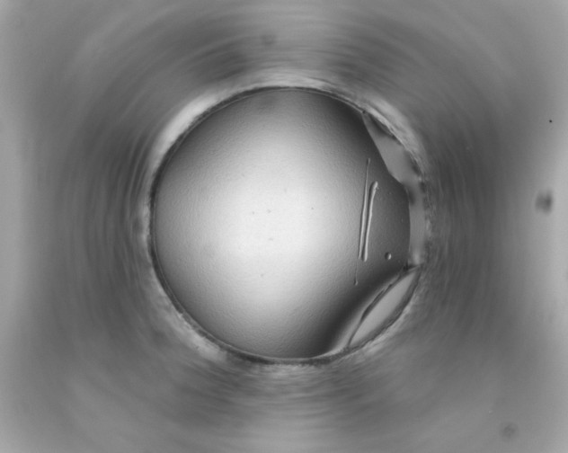 X0000093111188200710241235