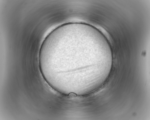 X0000093111191200710241235