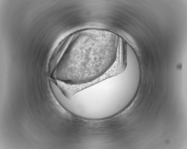 X0000093111192200710241235