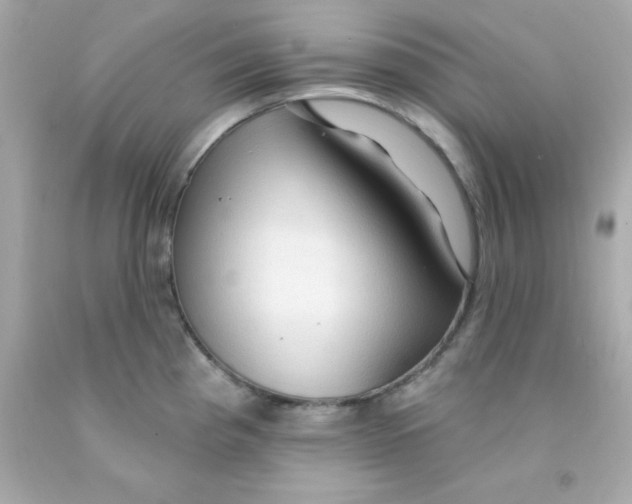 X0000093111193200710241235