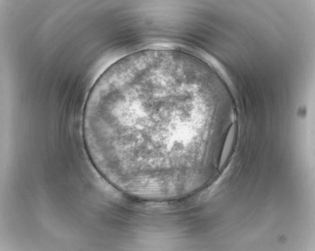 X0000093111194200710241235