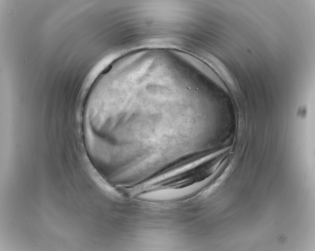 X0000093111196200710241235