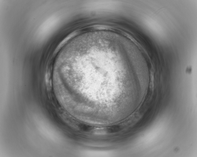 X0000093111198200710241235