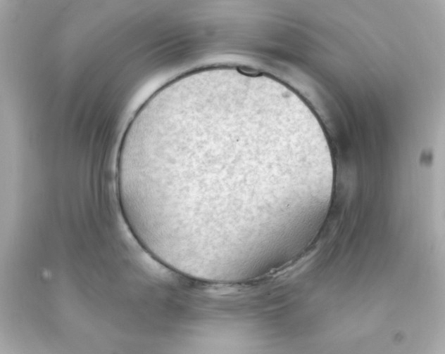 X0000093111199200710241235