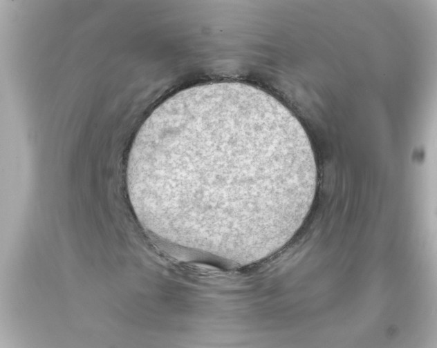 X0000093111201200710241235