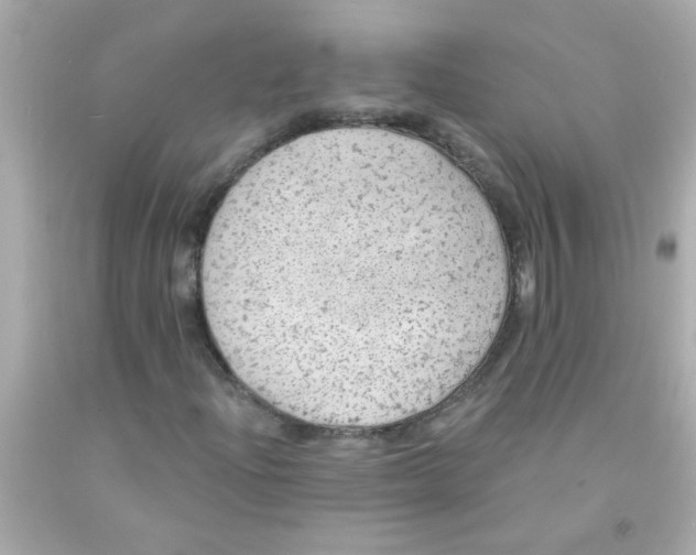 X0000093111204200710241235