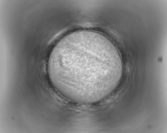 X0000093111205200710241235