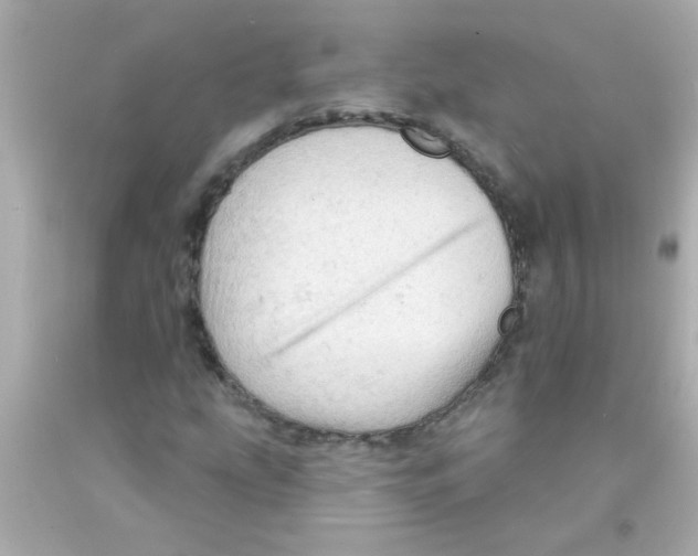 X0000093111207200710241235