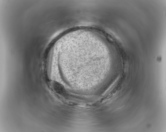 X0000093111208200710241235