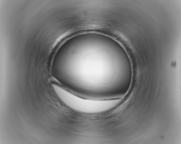 X0000093111210200710241235