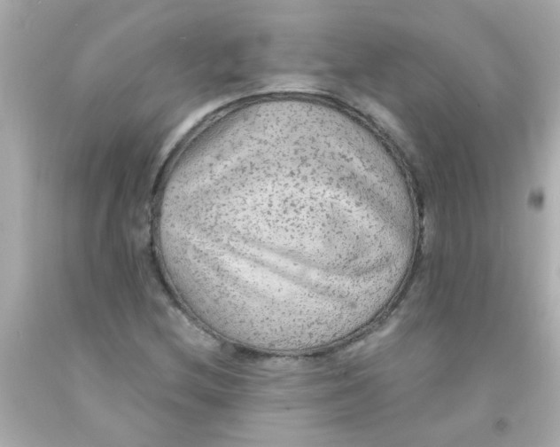 X0000093111212200710241235