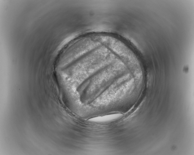 X0000093111213200710241235