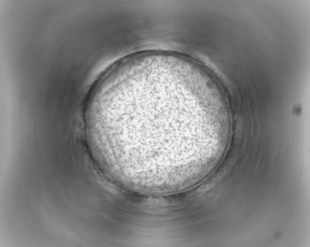 X0000093111215200710241235