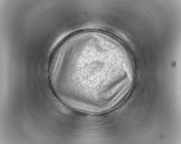 X0000093111216200710241235