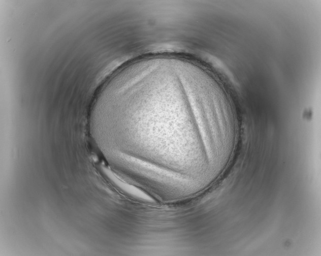 X0000093111217200710241235