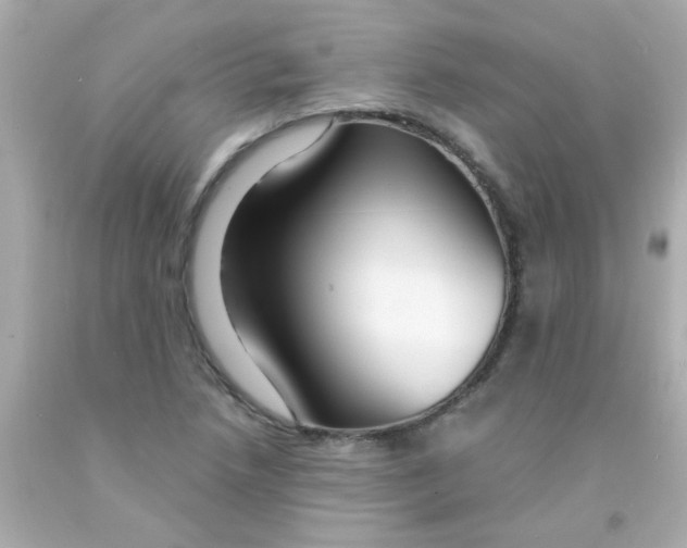 X0000093111218200710241235