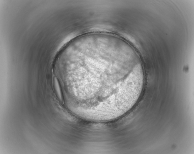 X0000093111219200710241235