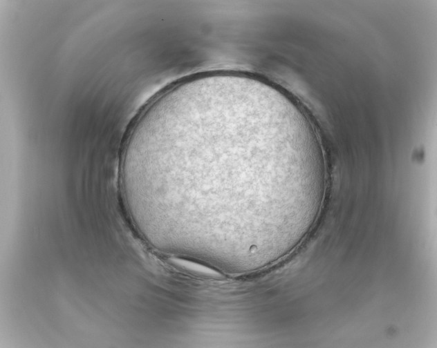 X0000093111220200710241235