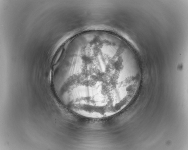 X0000093111221200710241235