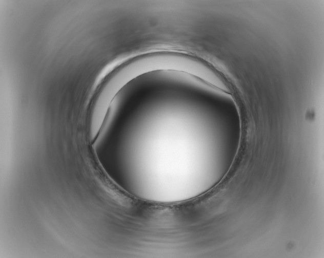 X0000093111222200710241235