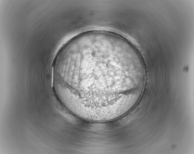 X0000093111223200710241235