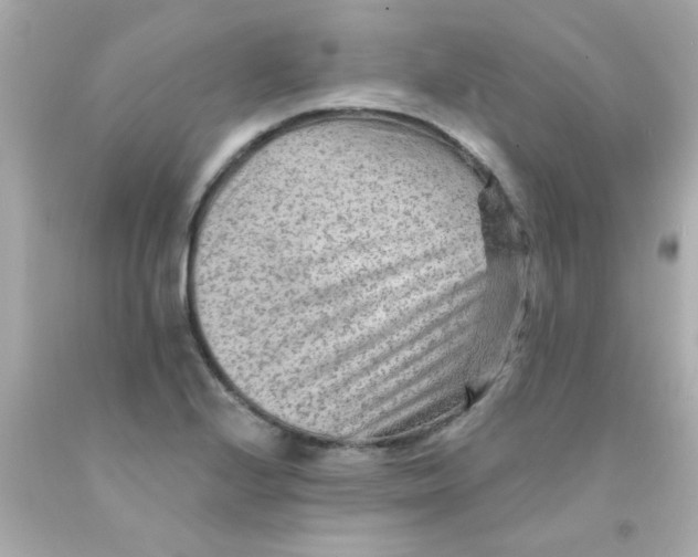 X0000093111224200710241235