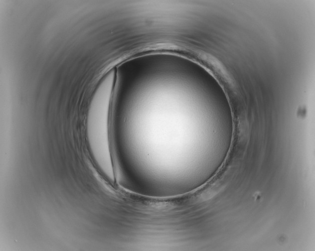 X0000093111225200710241235