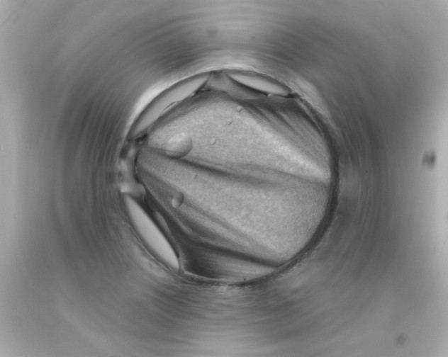 X0000093111226200710241235