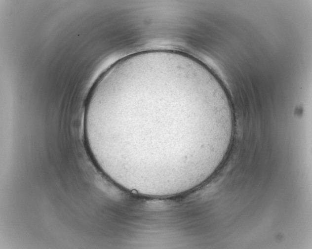 X0000093111227200710241235