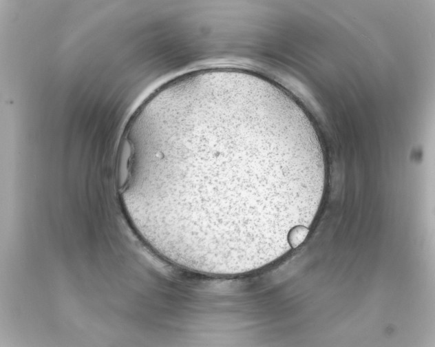 X0000093111228200710241235