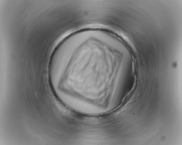 X0000093111229200710241235