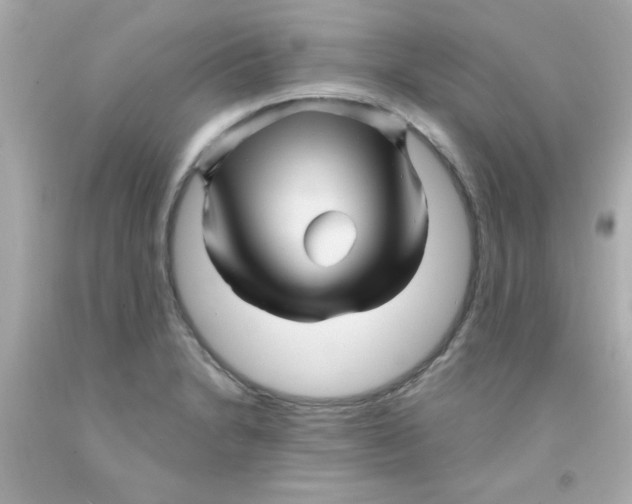 X0000093111230200710241235