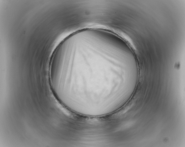 X0000093111231200710241235