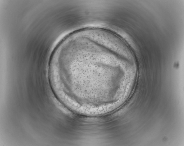 X0000093111232200710241235