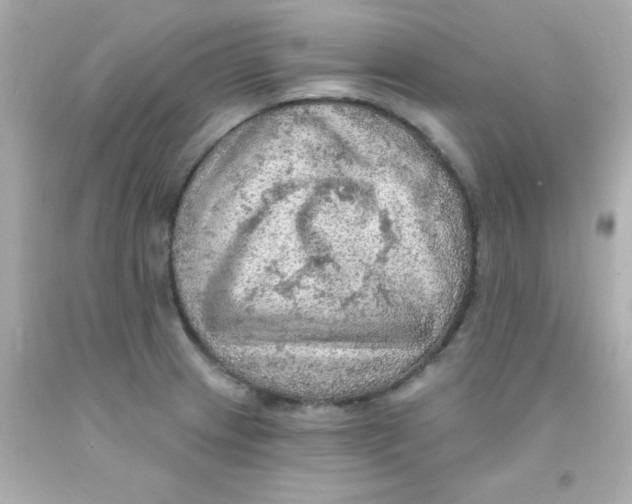 X0000093111233200710241235