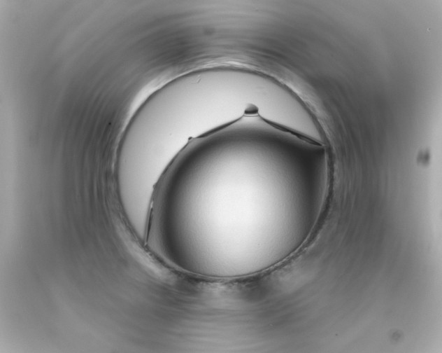 X0000093111234200710241235