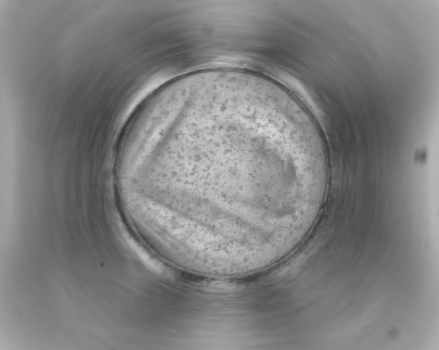 X0000093111235200710241235