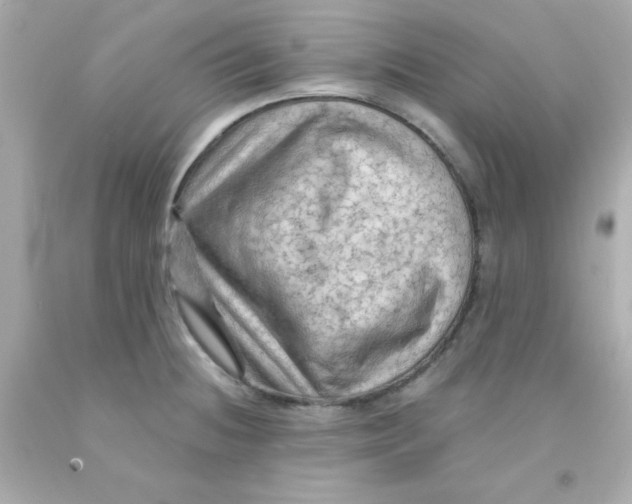 X0000093111236200710241235