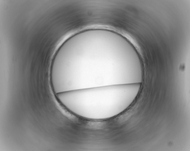 X0000093111237200710241235