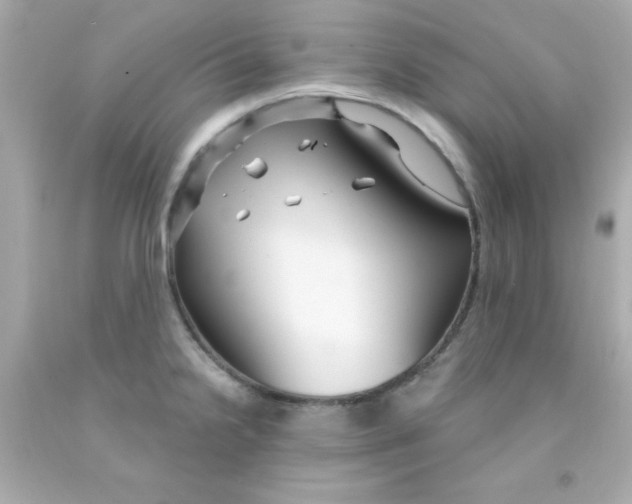 X0000093111238200710241235